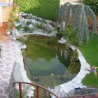 Immagine 6 azienda GYSIN & WEY AG Land-/Forstwirtschaft/Fischerei in Villmergen AG