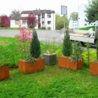 Immagine 5 azienda GYSIN & WEY AG Land-/Forstwirtschaft/Fischerei in Villmergen AG