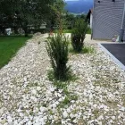 Immagine 17 azienda HÄNER GARTENSERVICE Land-/Forstwirtschaft/Fischerei in Zullwil SO