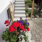 Immagine 18 azienda HÄNER GARTENSERVICE Land-/Forstwirtschaft/Fischerei in Zullwil SO