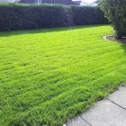 Immagine 22 azienda HÄNER GARTENSERVICE Land-/Forstwirtschaft/Fischerei in Zullwil SO