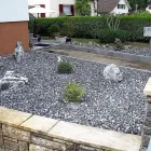 Immagine 23 azienda HÄNER GARTENSERVICE Land-/Forstwirtschaft/Fischerei in Zullwil SO