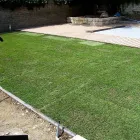 Immagine 24 azienda HÄNER GARTENSERVICE Land-/Forstwirtschaft/Fischerei in Zullwil SO