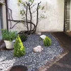Immagine 1 azienda HÄNER GARTENSERVICE Land-/Forstwirtschaft/Fischerei in Zullwil SO