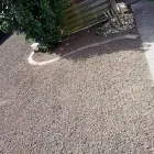 Immagine 6 azienda HÄNER GARTENSERVICE Land-/Forstwirtschaft/Fischerei in Zullwil SO