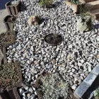 Immagine 9 azienda HÄNER GARTENSERVICE Land-/Forstwirtschaft/Fischerei in Zullwil SO