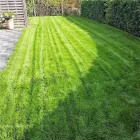 Immagine 10 azienda HÄNER GARTENSERVICE Land-/Forstwirtschaft/Fischerei in Zullwil SO