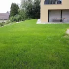 Immagine 11 azienda HÄNER GARTENSERVICE Land-/Forstwirtschaft/Fischerei in Zullwil SO