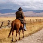 Entreprises 4 image HANG LOOSE TRAVELSERVICE Transport/Verkehr/Tourismus dans Berne BE