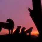 Entreprises 5 image HANG LOOSE TRAVELSERVICE Transport/Verkehr/Tourismus dans Berne BE