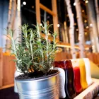 Unternehmen 5 Bild HANS IM GLÜCK BURGERGRILL & BAR Vegetarische Restaurants am Basel BL