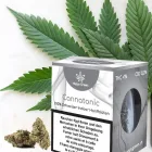 Immagine 17 azienda HAPPY GREEN - CBD BLÜTEN CBD ÖL - SCHWEIZ Medizinisches Cannabis in Villmergen AG