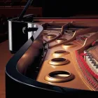 Entreprises 3 image HEUTSCHI PIANOS Musikinstrumente Einzelhandel dans Bern BE