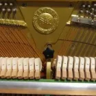 Entreprises 5 image HEUTSCHI PIANOS Musikinstrumente Einzelhandel dans Bern BE