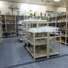 Unternehmen 6 Bild HIOB GROSSBROCKENSTUBE Schrottunternehmen, Buntmetalle-Unternehmen, Recyclingunternehmen am Glis VS