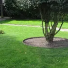 Entreprises 3 image HJB GARTEN GMBH Land-/Forstwirtschaft/Fischerei dans Seftigen BE