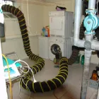 Immagine 3 azienda HOFSTETTER AG FLUMENTHAL Schlüsselservice in Flumenthal SO