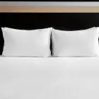 Entreprises 40 image HOLIDAY INN BERN - WESTSIDE Veranstaltungen/Messen dans Bern BE