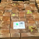 Immagine 21 azienda HOLZ100 SCHWEIZ AG Zimmerarbeiten, Holzbauarbeiten in Steinen SZ