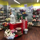 Unternehmen 6 Bild HOME OUTLET Optiker am Lugano TI