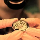 Unternehmen 1 Bild HORLYNE SA Schmuck/Uhren/Edelmetallwaren am La Chaux-De-Fonds NE