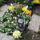 Immagine 20 azienda HUBER EMIL AG Land-/Forstwirtschaft/Fischerei in Wohlen Ag AG