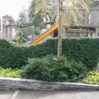 Immagine 21 azienda HUBER EMIL AG Land-/Forstwirtschaft/Fischerei in Wohlen Ag AG