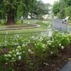 Immagine 6 azienda HUBER EMIL AG Land-/Forstwirtschaft/Fischerei in Wohlen Ag AG