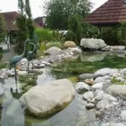 Immagine 12 azienda HUBER EMIL AG Land-/Forstwirtschaft/Fischerei in Wohlen Ag AG