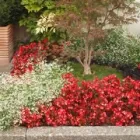 Immagine 15 azienda HUBER EMIL AG Land-/Forstwirtschaft/Fischerei in Wohlen Ag AG