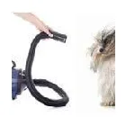 Immagine 8 azienda HUNDESALON SKY-DOG Tiersalons in Dulliken SO