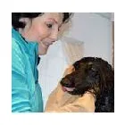 Immagine 9 azienda HUNDESALON SKY-DOG Tiersalons in Dulliken SO