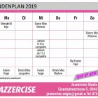 Unternehmen 3 Bild JAZZERCISE Sport am Einsiedeln SZ