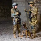 Immagine 6 azienda K9 SCHWEIZ GMBH Vereine/Verbände/Organisationen in Grenchen SO