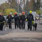Immagine 9 azienda K9 SCHWEIZ GMBH Vereine/Verbände/Organisationen in Grenchen SO