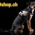 Immagine 10 azienda K9 SCHWEIZ GMBH Vereine/Verbände/Organisationen in Grenchen SO