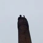 Immagine 5 azienda KAMINFEGERGESCHÄFT SEGESSENMANN Schornsteinfeger in Kölliken AG