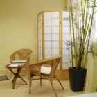 Unternehmen 3 Bild KARIN WÜRTH PRAXIS FÜR TRADITIONELLE CHINESISCHE MEDIZIN Ärzte am Wetzikon ZH