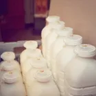 Immagine 11 azienda KÄSEREI STADELMANN AG Nahrungs-/Genussmittel in Nesslau SG