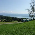 Unternehmen 4 Bild KAUFMANN TRANSPORTE AG Umzugsunternehmen am Männedorf ZH