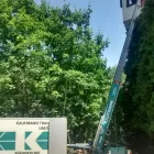 Unternehmen 6 Bild KAUFMANN TRANSPORTE AG Umzugsunternehmen am Männedorf ZH