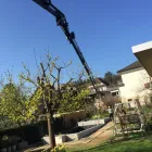 Immagine 2 azienda KIESER AG - KRANARBEITEN Transport/Verkehr/Tourismus in Rupperswil AG