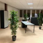 Unternehmen 2 Bild KMU INFORMATIK + TREUHAND GMBH Treuhänder, Treuhandgesellschaften am Cham ZG