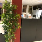 Unternehmen 4 Bild KMU INFORMATIK + TREUHAND GMBH Treuhänder, Treuhandgesellschaften am Cham ZG