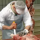 Immagine 7 azienda KOCH DULLIKEN AG Tischlerarbeiten in Dulliken SO