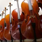 Immagine 3 azienda KOCH KARL AG Musikinstrumente Einzelhandel in Reussbühl LU