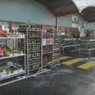 Immagine 2 azienda LANDI SARGANSERLAND AG Nahrungs-/Genussmittel in Flums SG