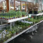 Immagine 4 azienda LANDI SARGANSERLAND AG Nahrungs-/Genussmittel in Flums SG