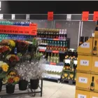 Entreprises 10 image LIDL SCHWEIZ Textil/Bekleidung dans Oftringen AG
