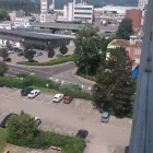 Immagine 28 azienda LIDL SCHWEIZ Textil/Bekleidung in Pratteln BL